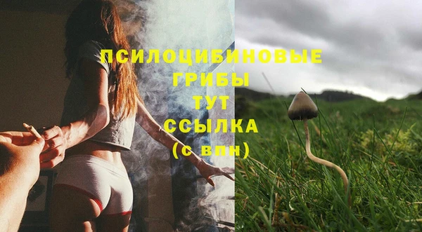 синтетический гашиш Ладушкин