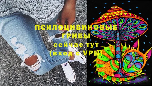 ГАЛЛЮЦИНОГЕННЫЕ ГРИБЫ Лабытнанги